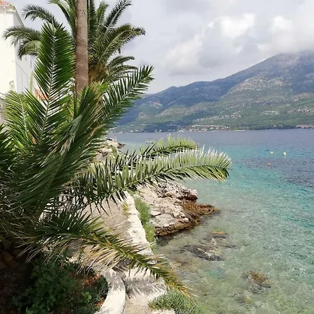 Giulia * Medvinjak
